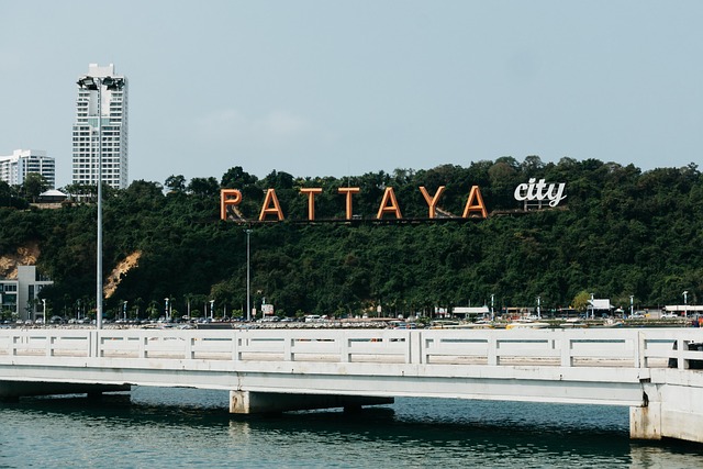 🌴 Pattaya Activity Package